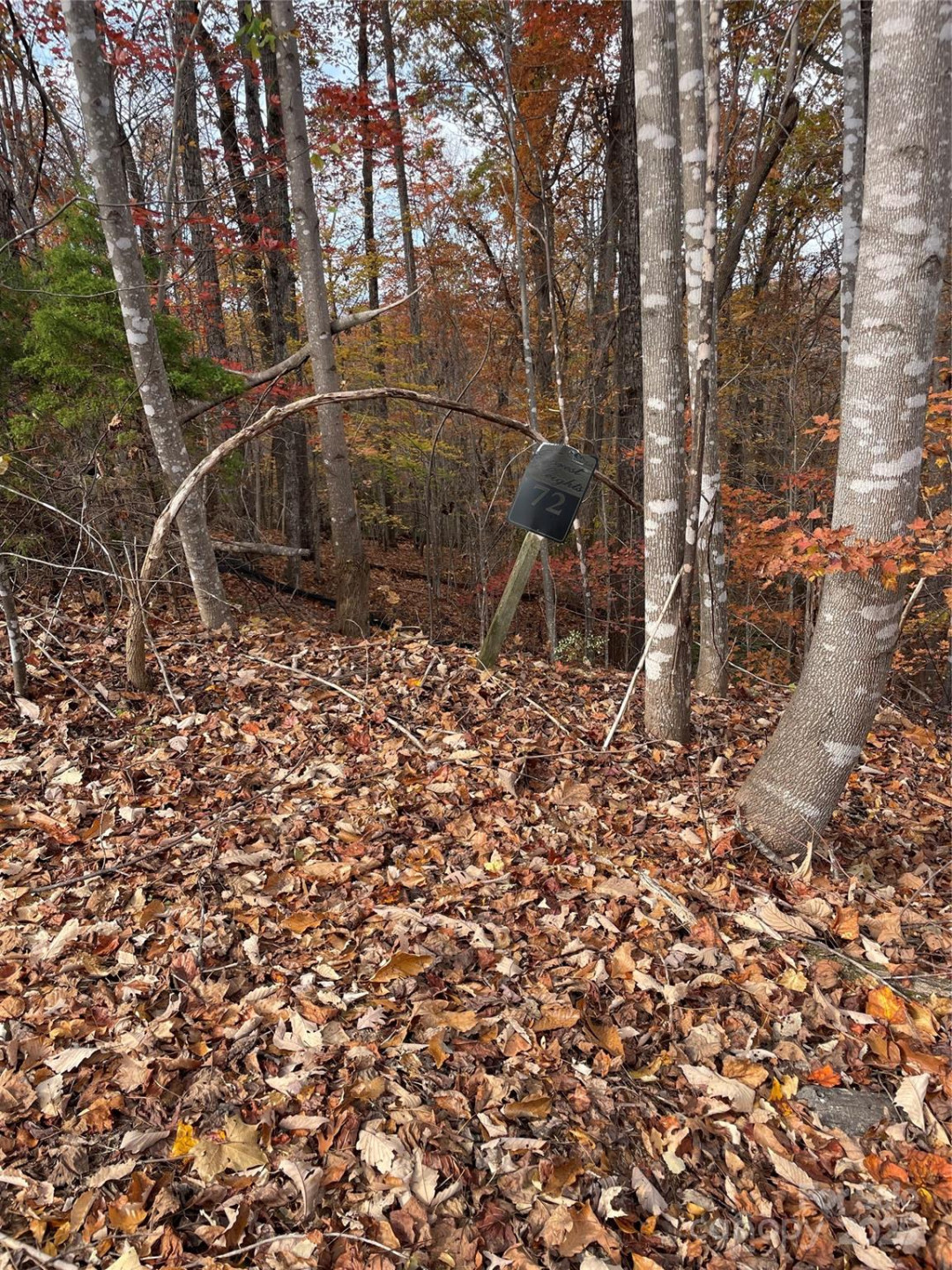 V/L Lot 72 & 170 Black Lark Drive - Photo 8