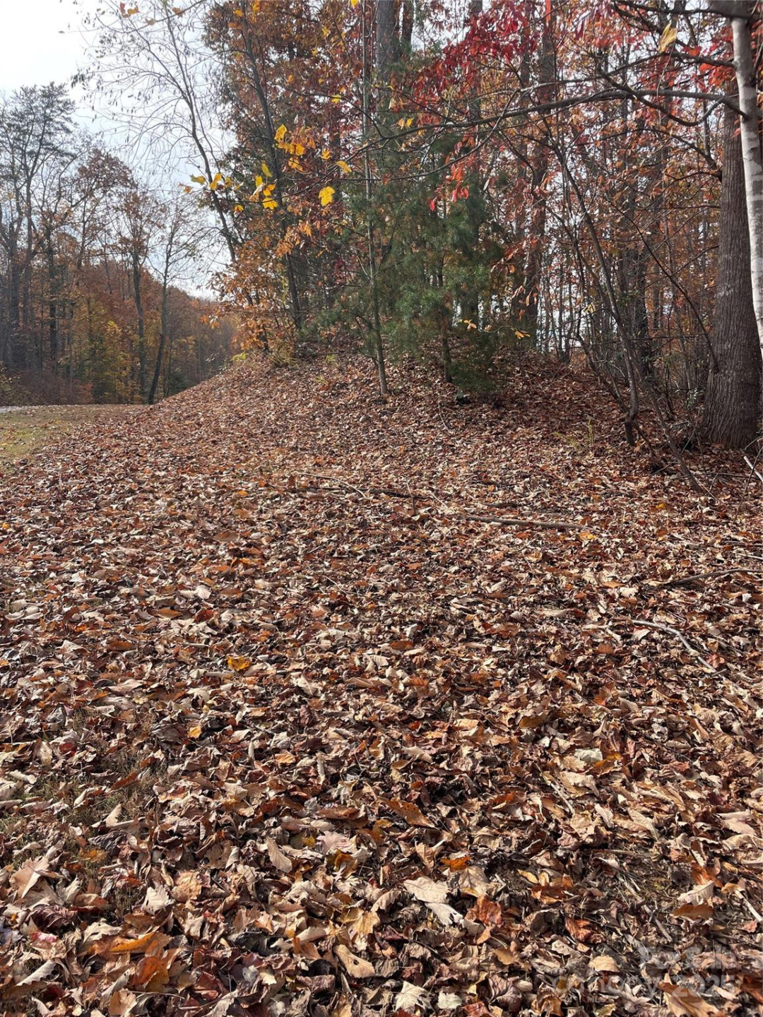 V/L Lot 72 & 170 Black Lark Drive - Photo 9