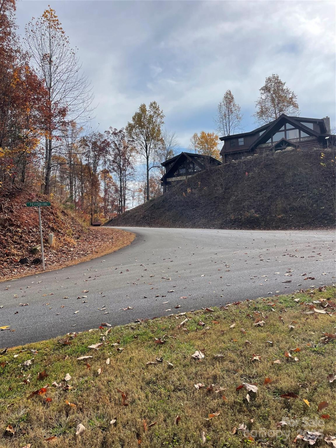 V/L Lot 72 & 170 Black Lark Drive - Photo 10