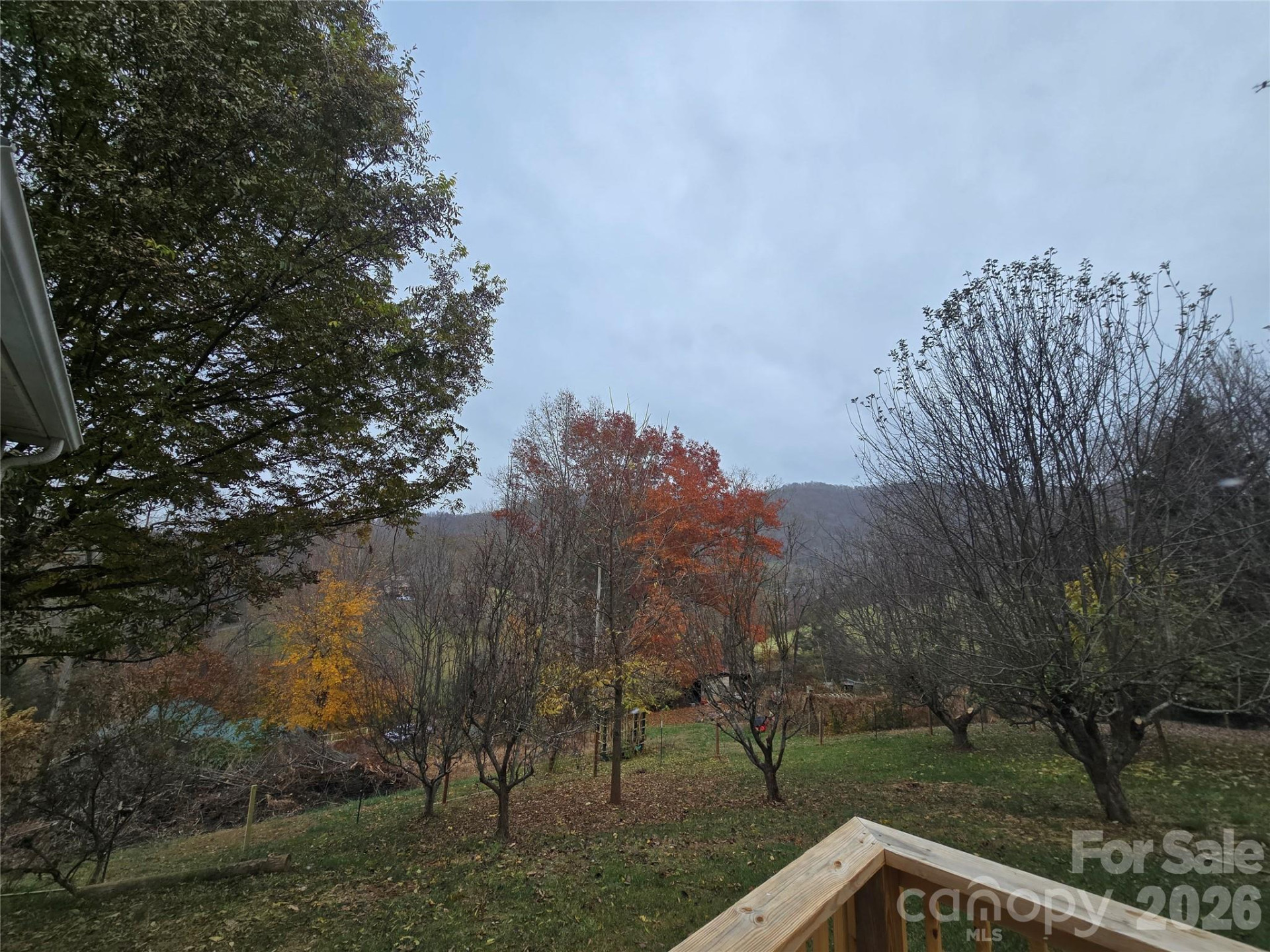71 London Lane - Photo 3