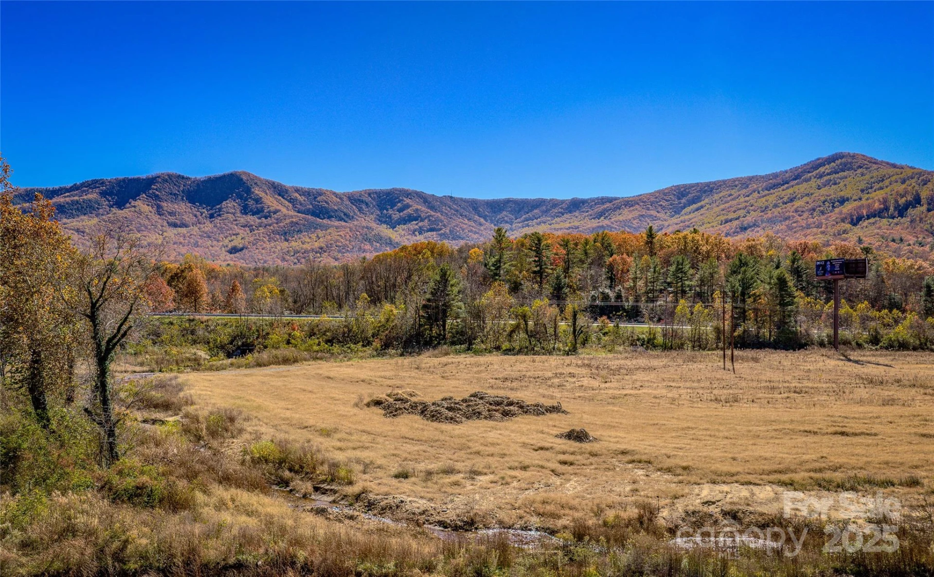 865 Blue Ridge Road - Photo 4