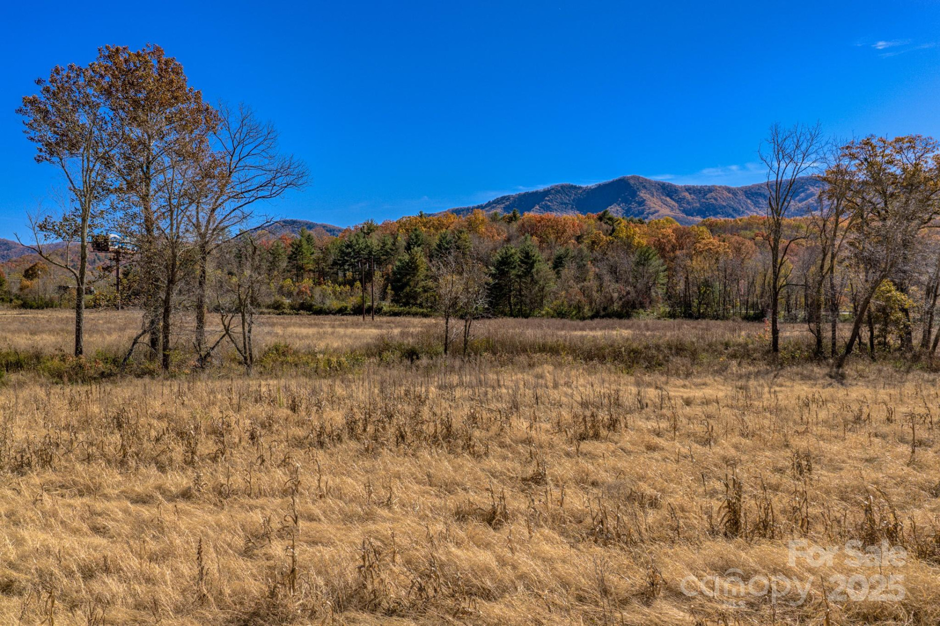 865 Blue Ridge Road - Photo 6