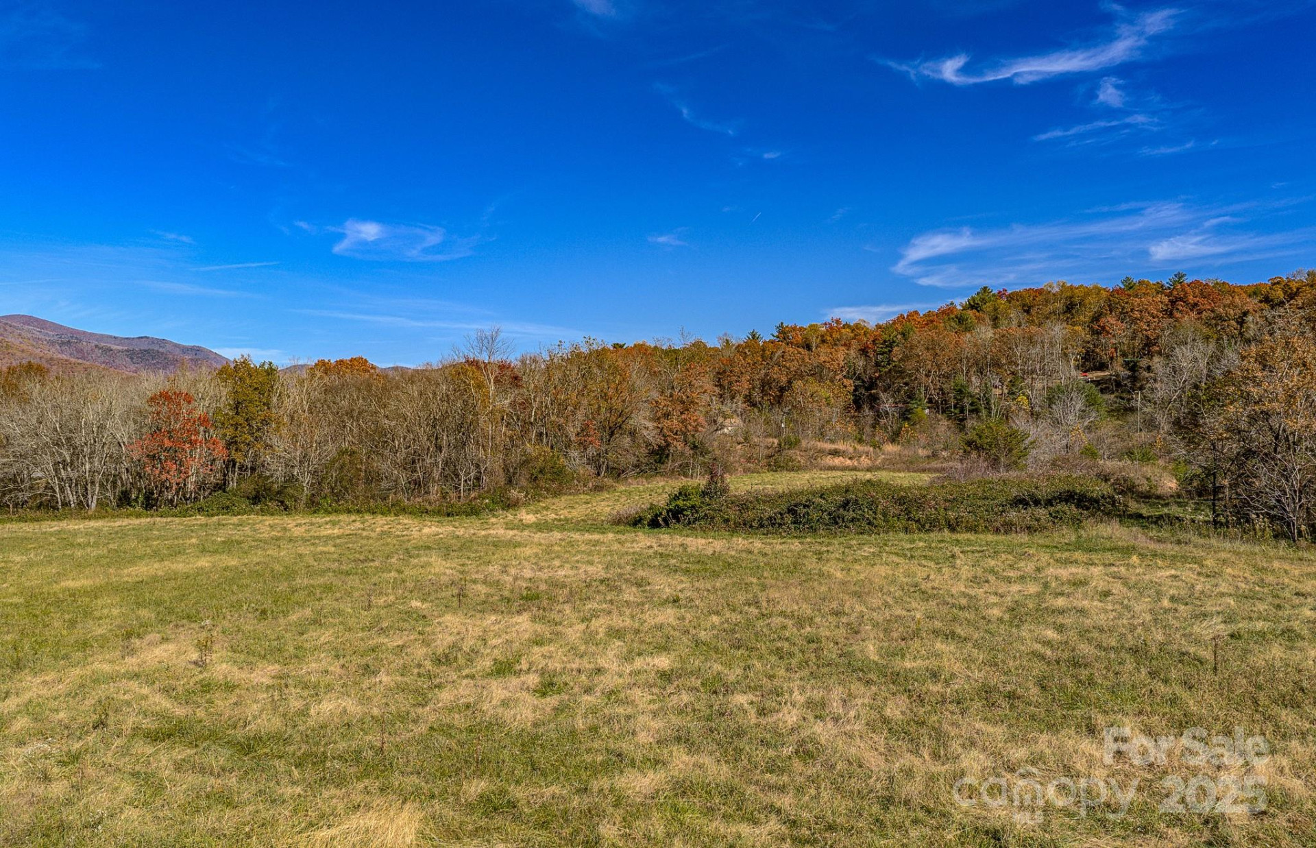 195 Access Road - Photo 7