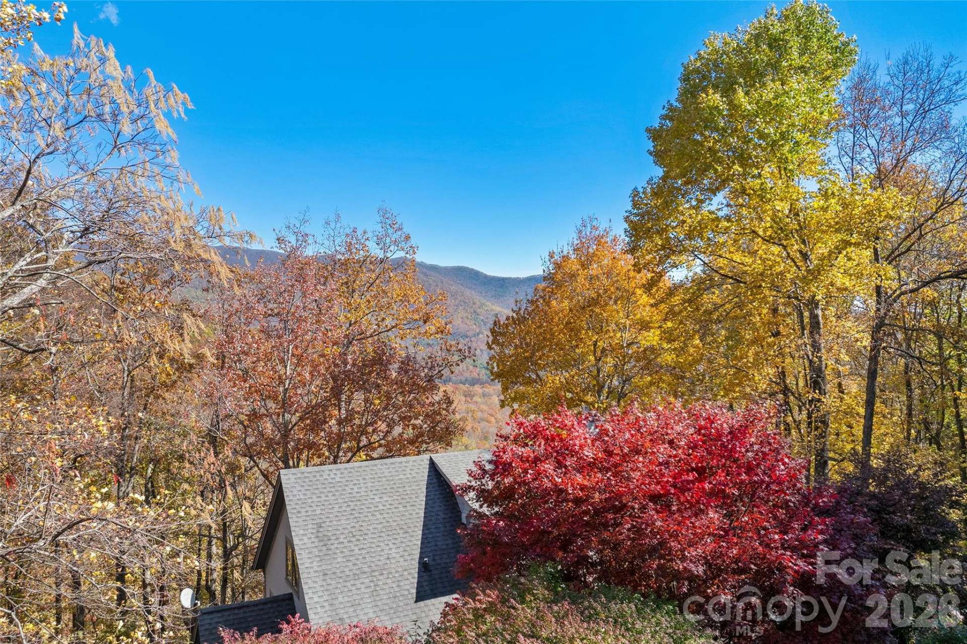 33 Great Aspen Way - Photo 44