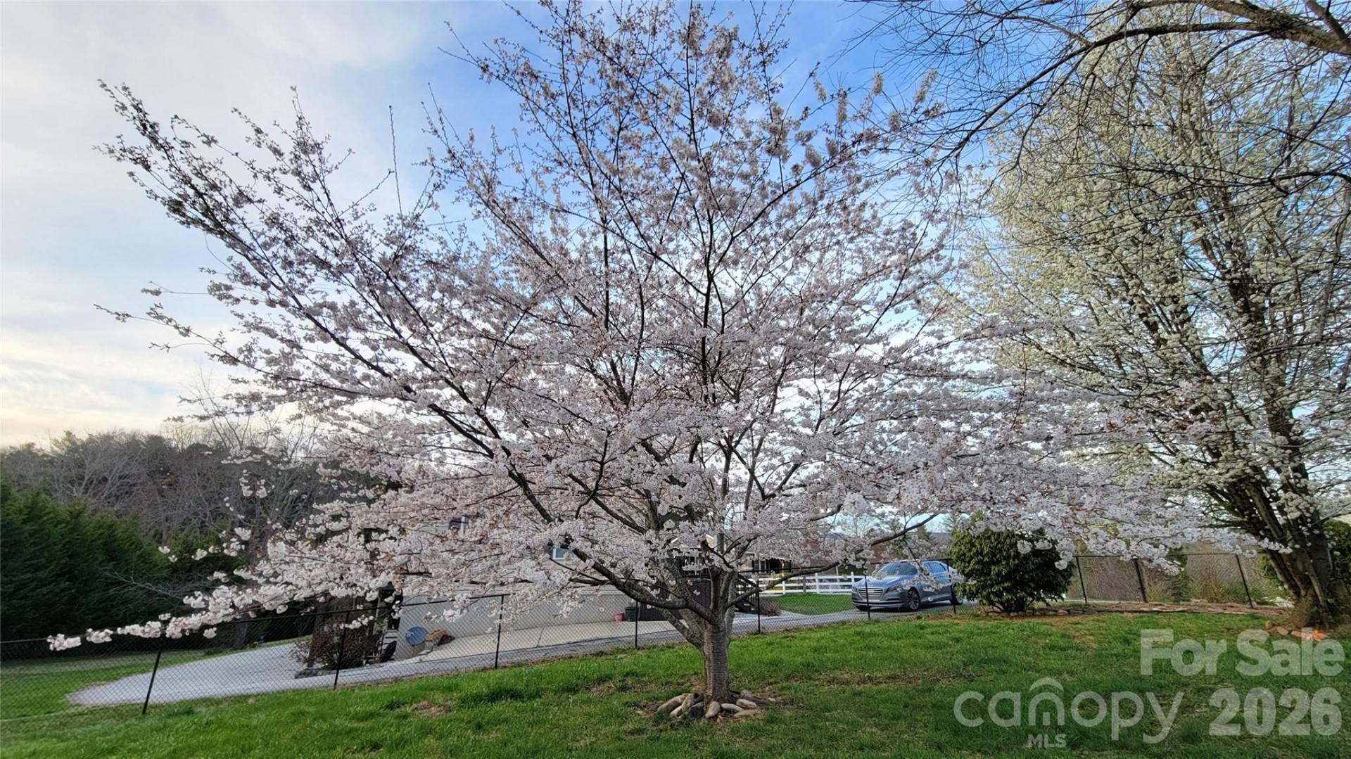 10 Haven Crest Lane - Photo 22