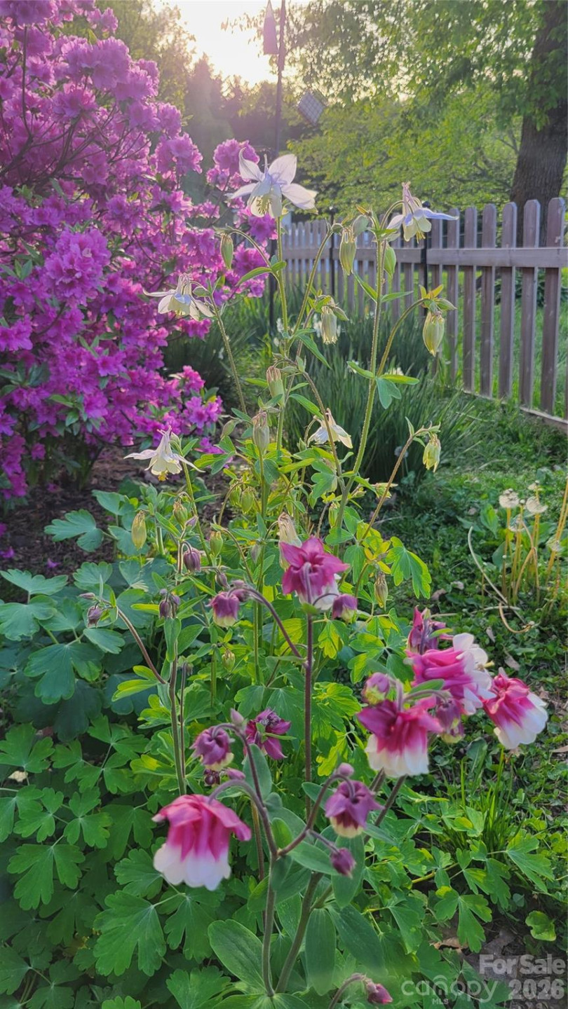 10 Haven Crest Lane - Photo 25