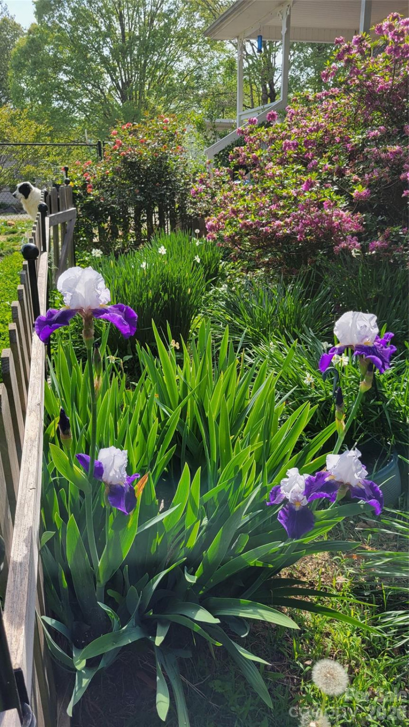 10 Haven Crest Lane - Photo 27