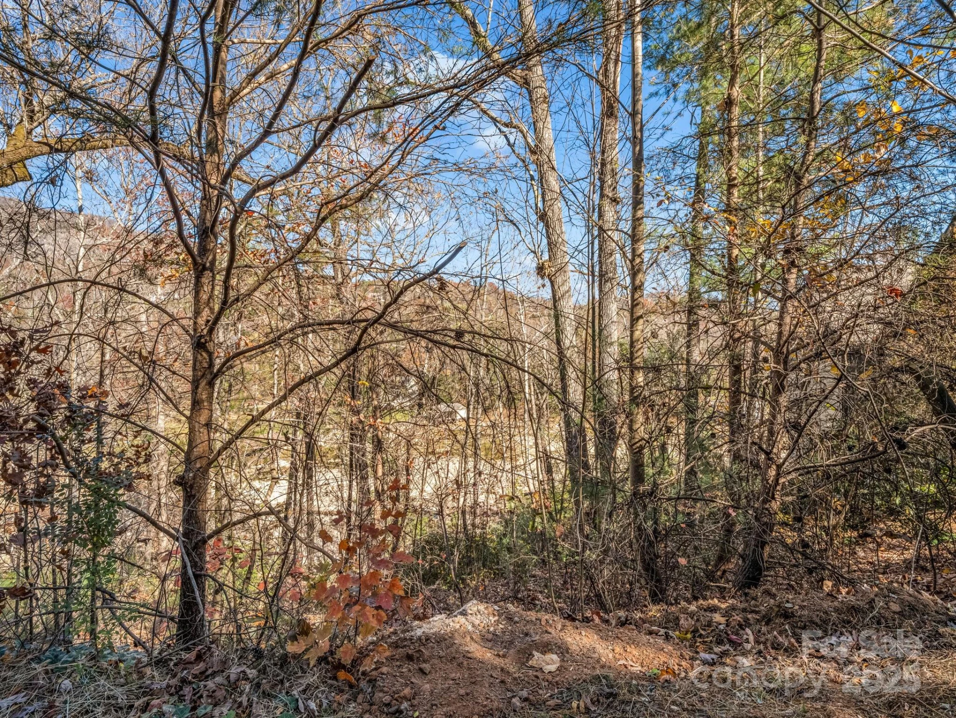 167 Firefly Point - Photo 2