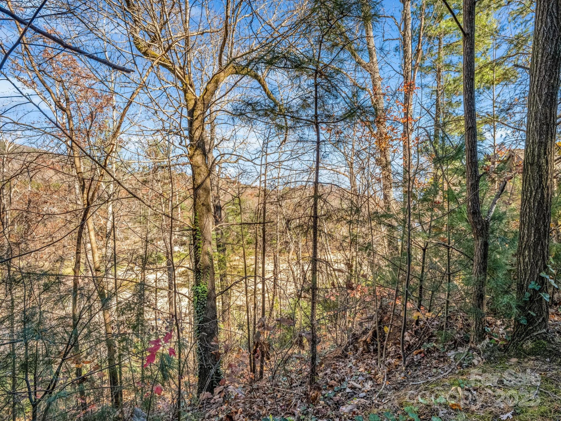 167 Firefly Point - Photo 3