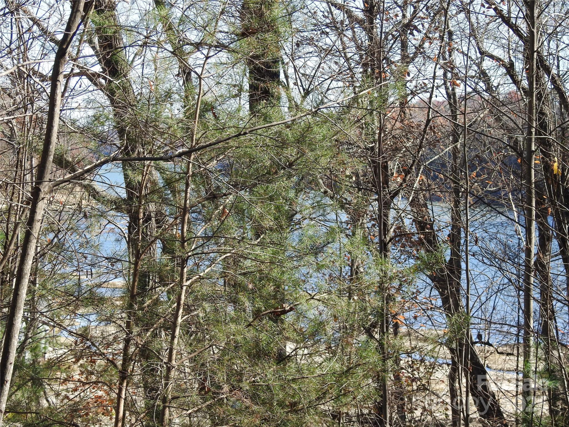 167 Firefly Point - Photo 30