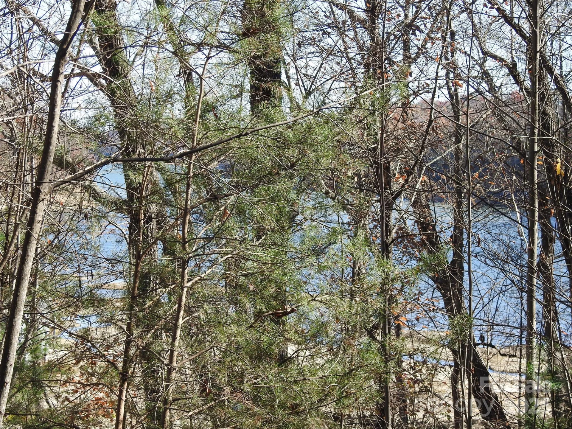 167 Firefly Point - Photo 30