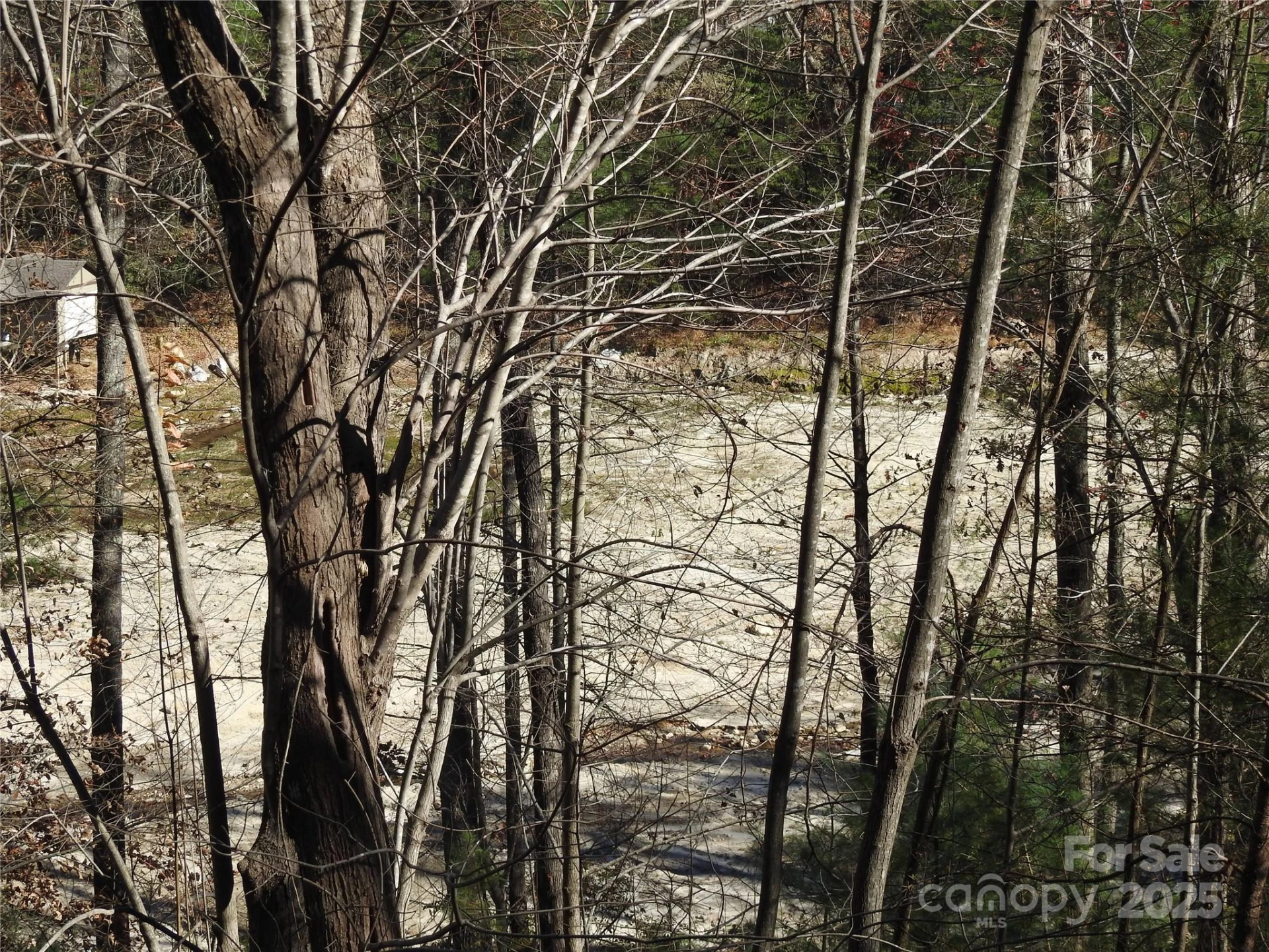 167 Firefly Point - Photo 31