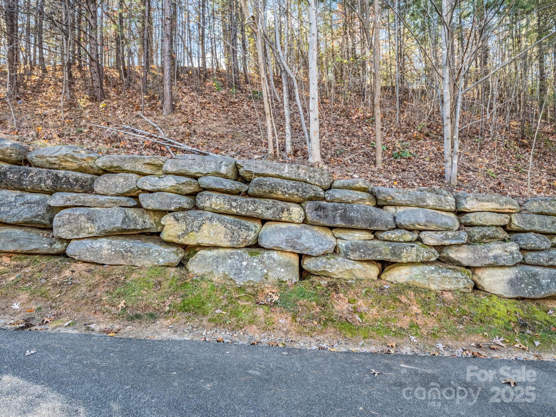 167 Firefly Point - Photo 6