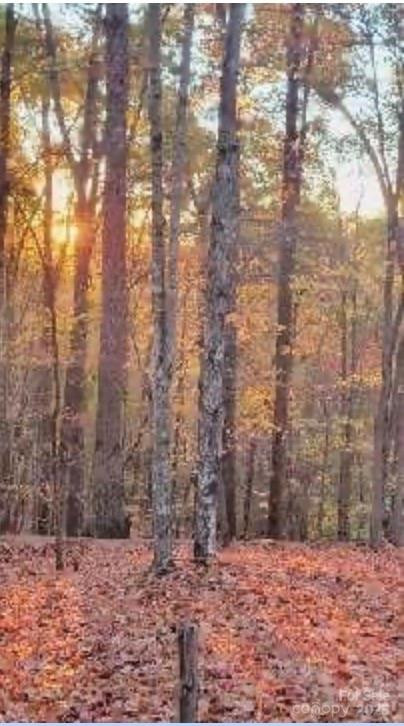 V/L Trellis Drive #117