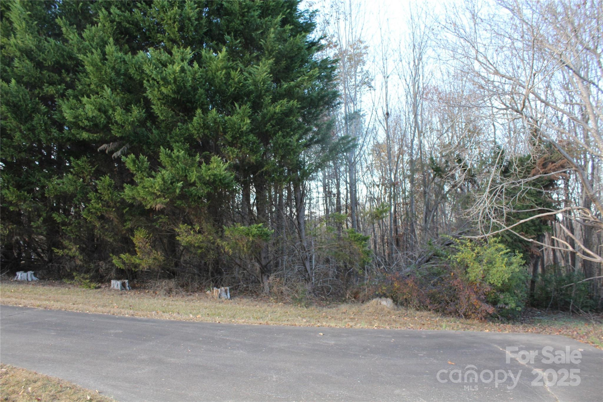 1761 Dearborn Street Extension - Photo 34