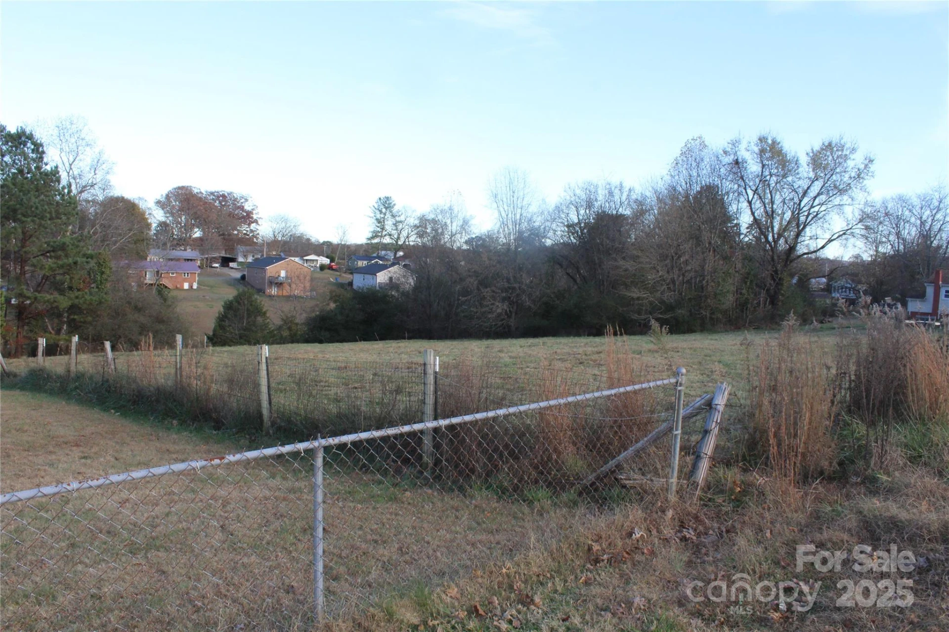 1761 Dearborn Street Extension - Photo 9