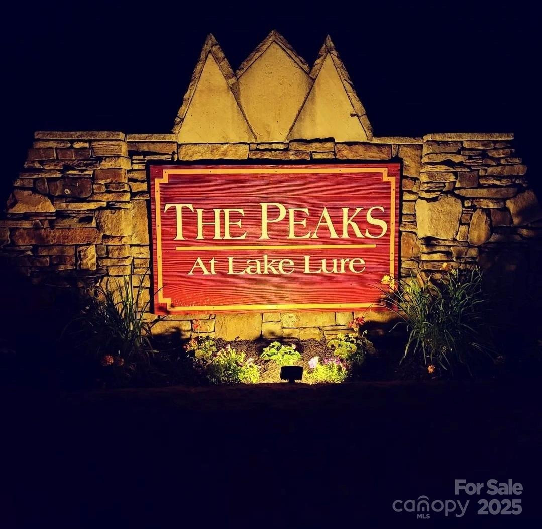 301 Peaks Drive - Photo 35