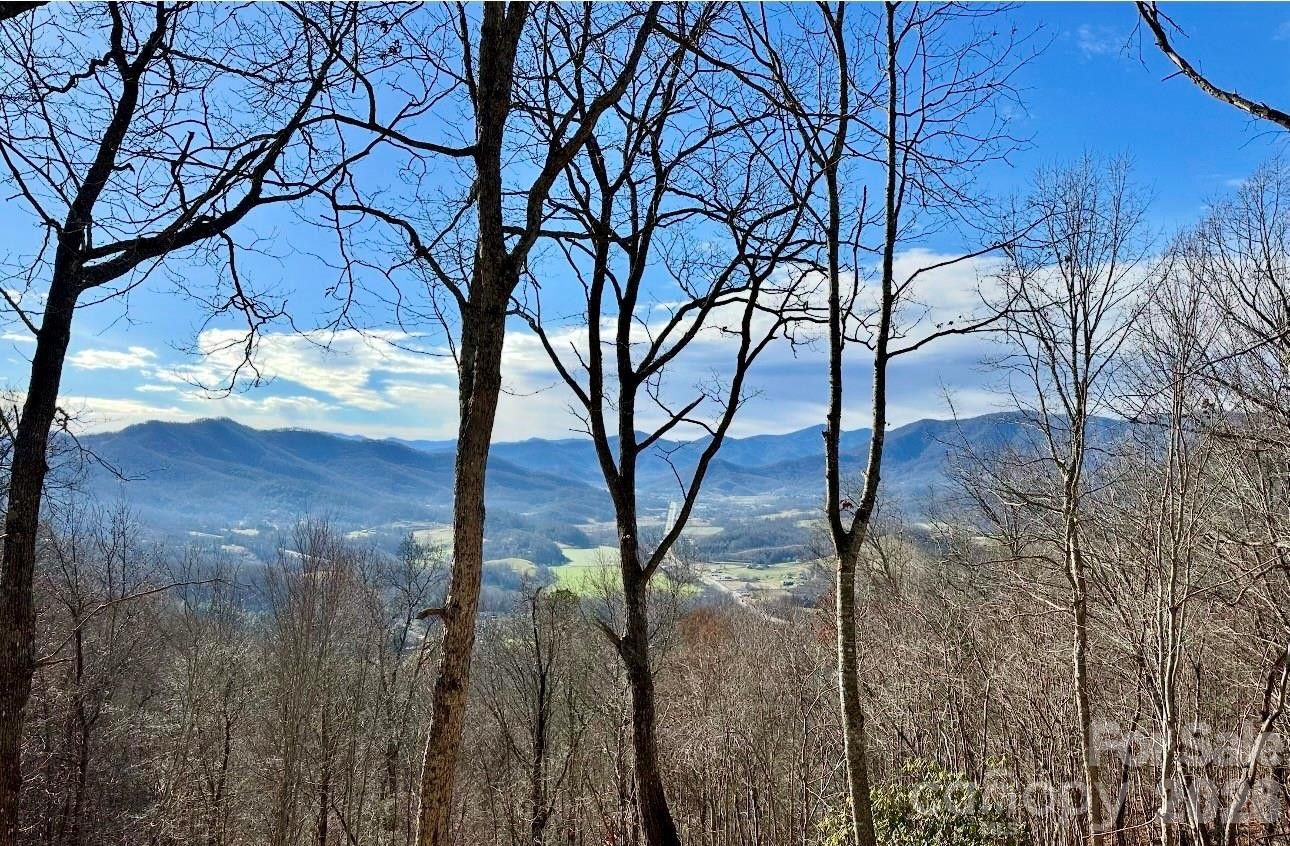 65 Thumper Trail - Photo 2