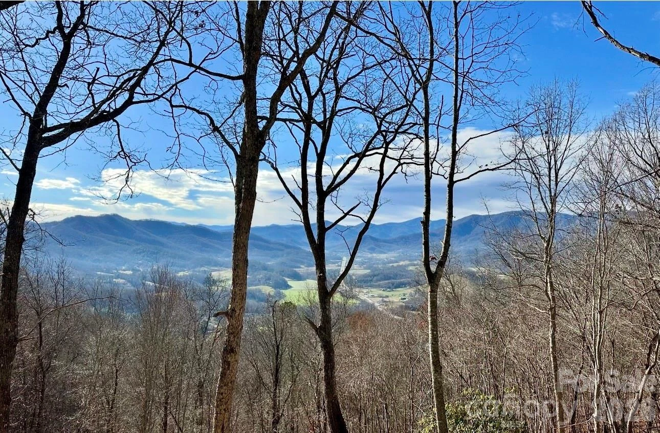 65 Thumper Trail - Photo 2