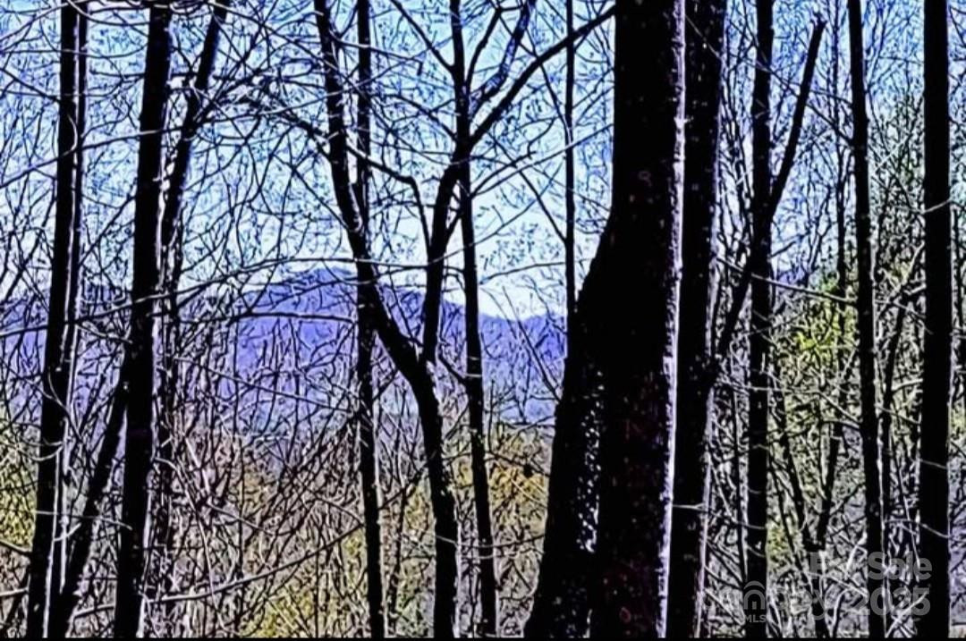 153 Westridge Drive - Photo 2