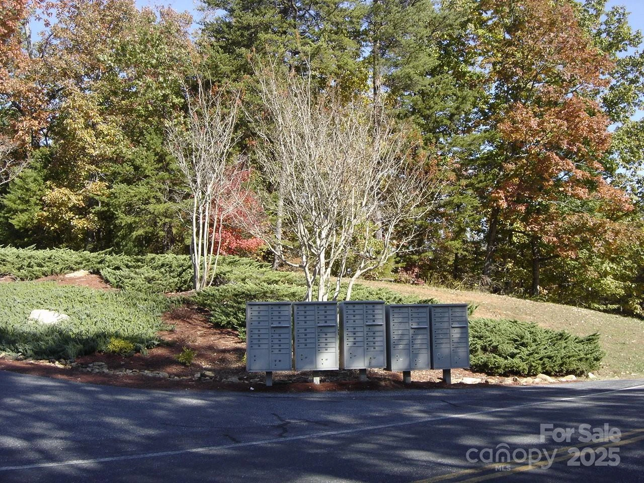 153 Westridge Drive - Photo 13