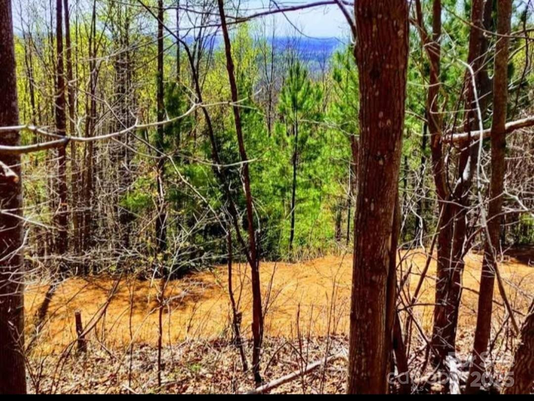 153 Westridge Drive - Photo 5