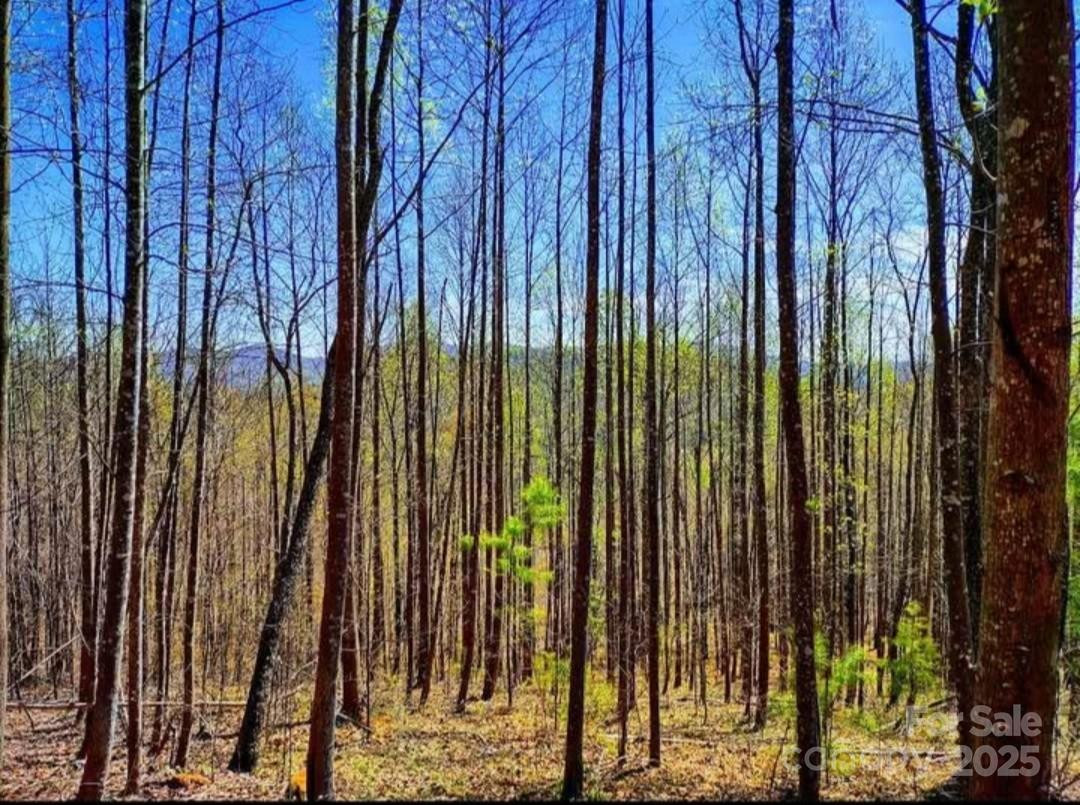 153 Westridge Drive - Photo 7