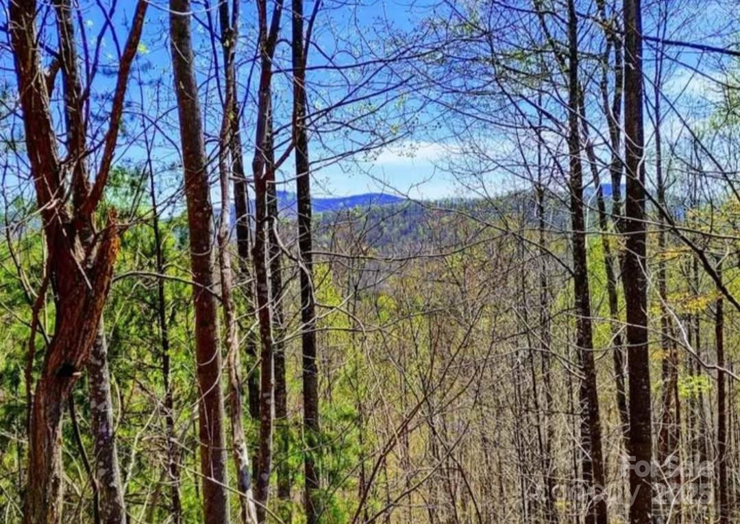 153 Westridge Drive - Photo 8