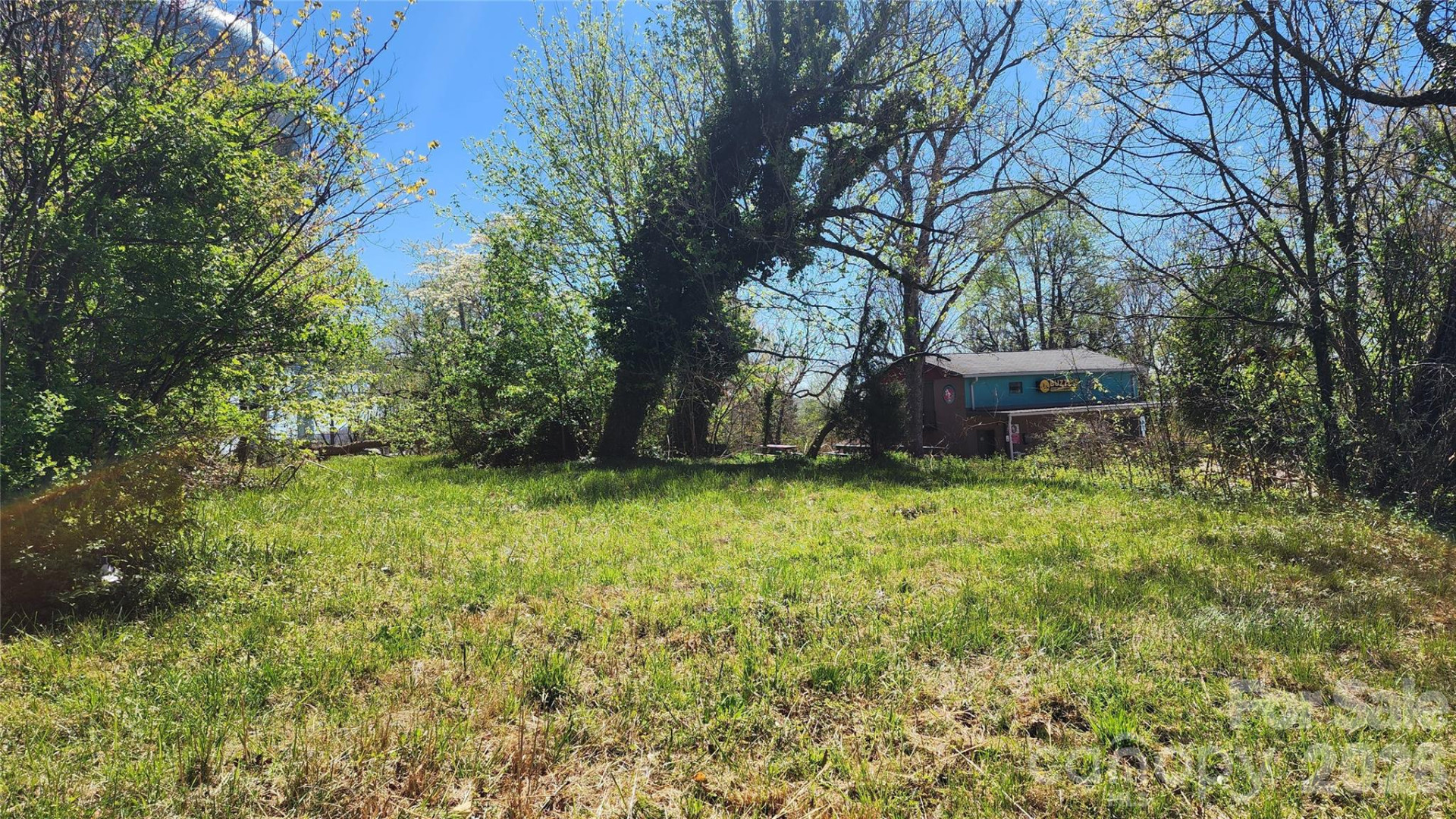 303 Old Nc 18 Highway - Photo 19