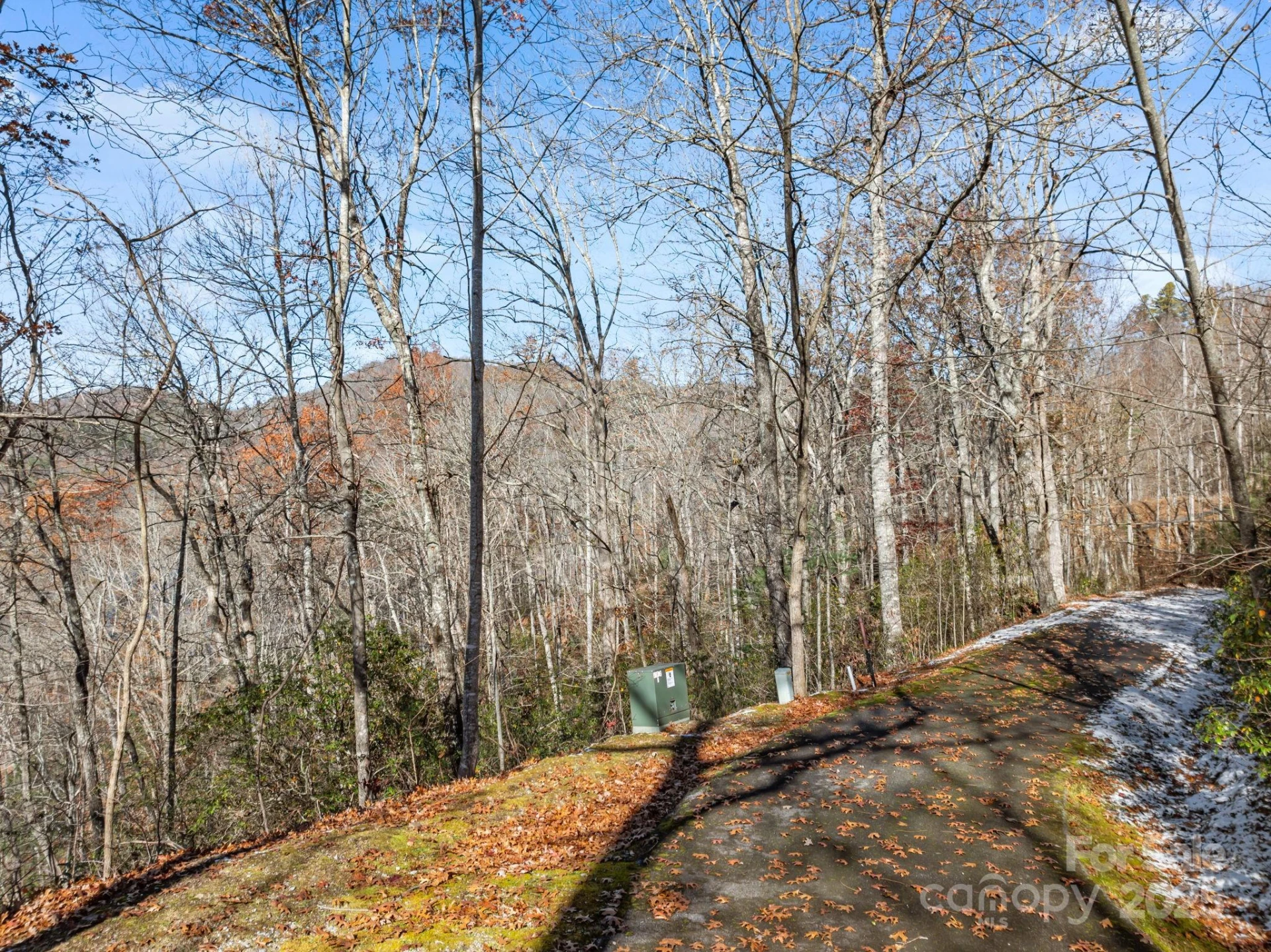151 Trout Lily Lane - Photo 3