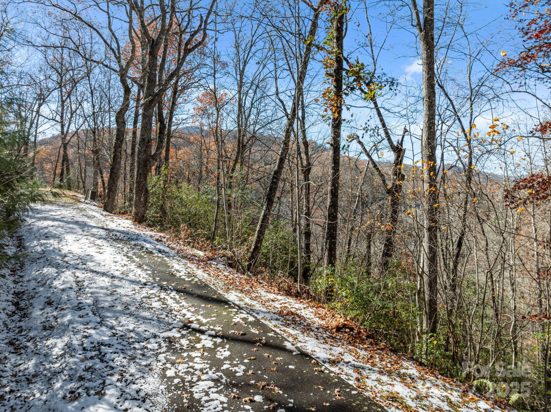 151 Trout Lily Lane - Photo 4