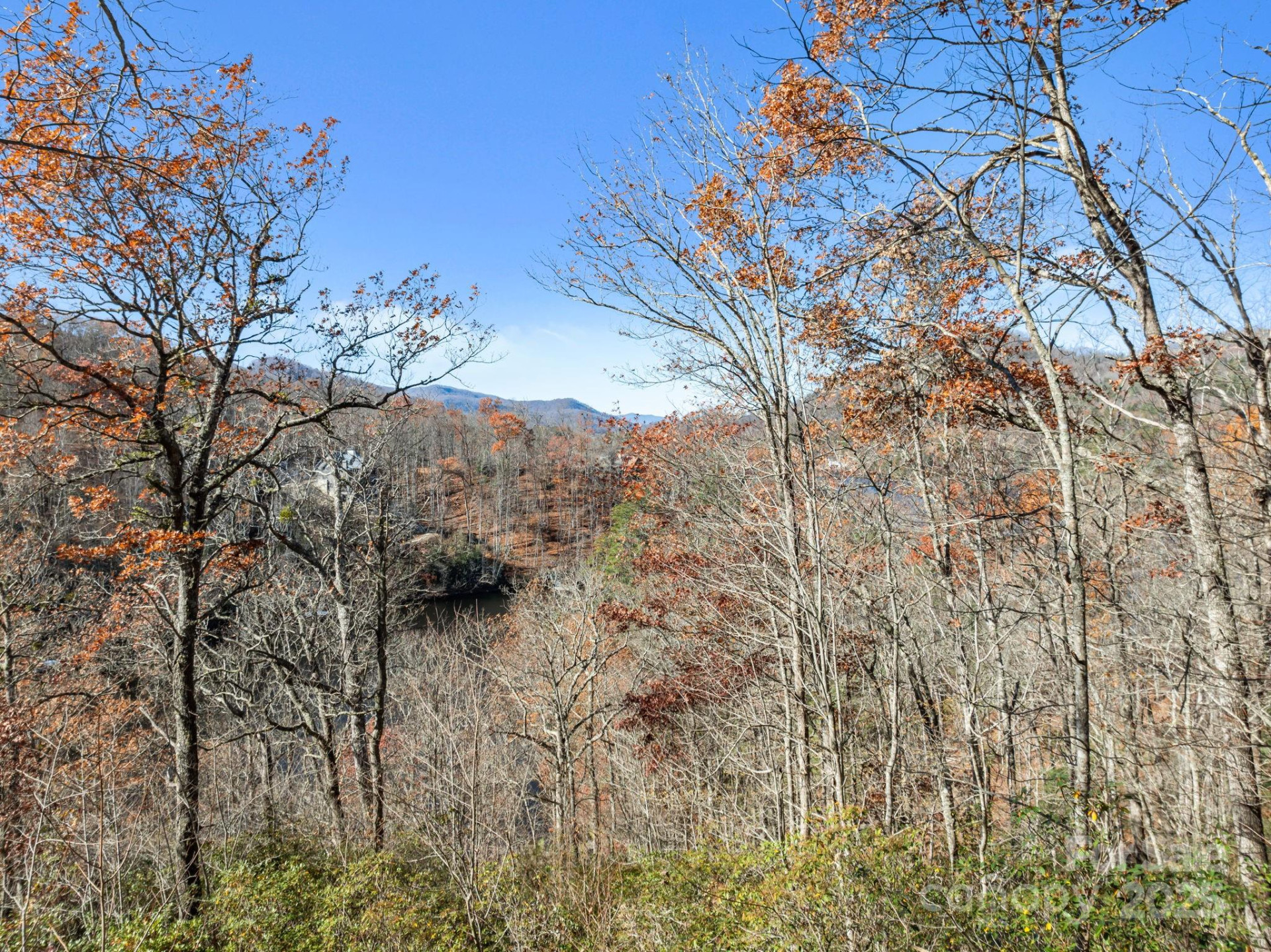 151 Trout Lily Lane - Photo 5