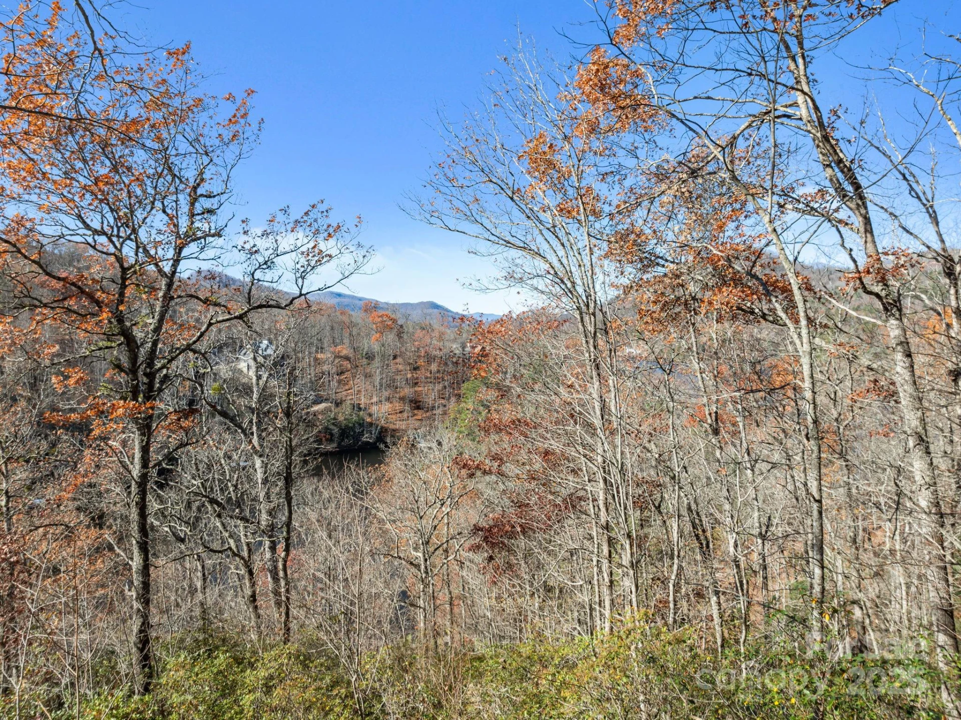 151 Trout Lily Lane - Photo 5