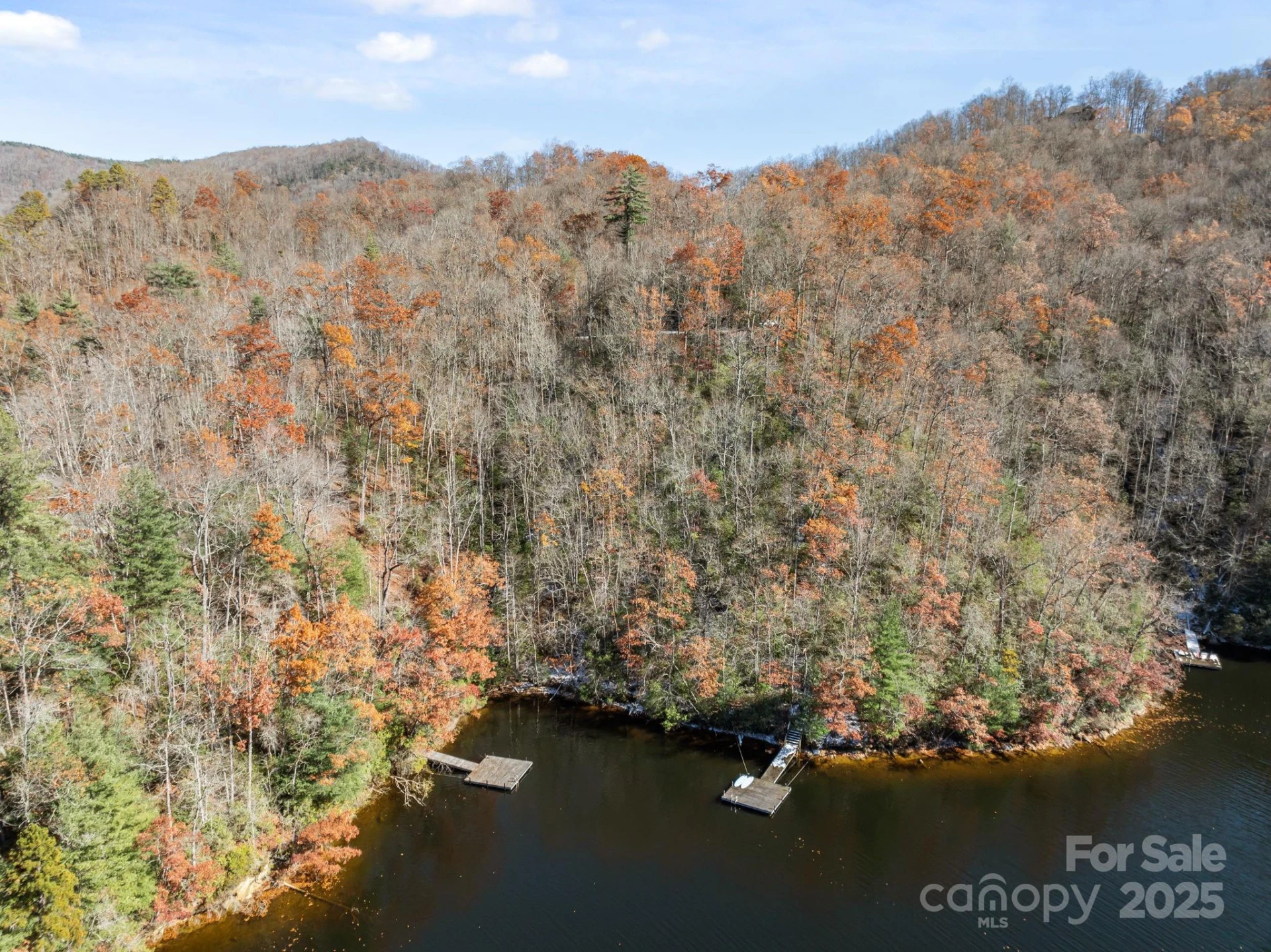 151 Trout Lily Lane - Photo 8