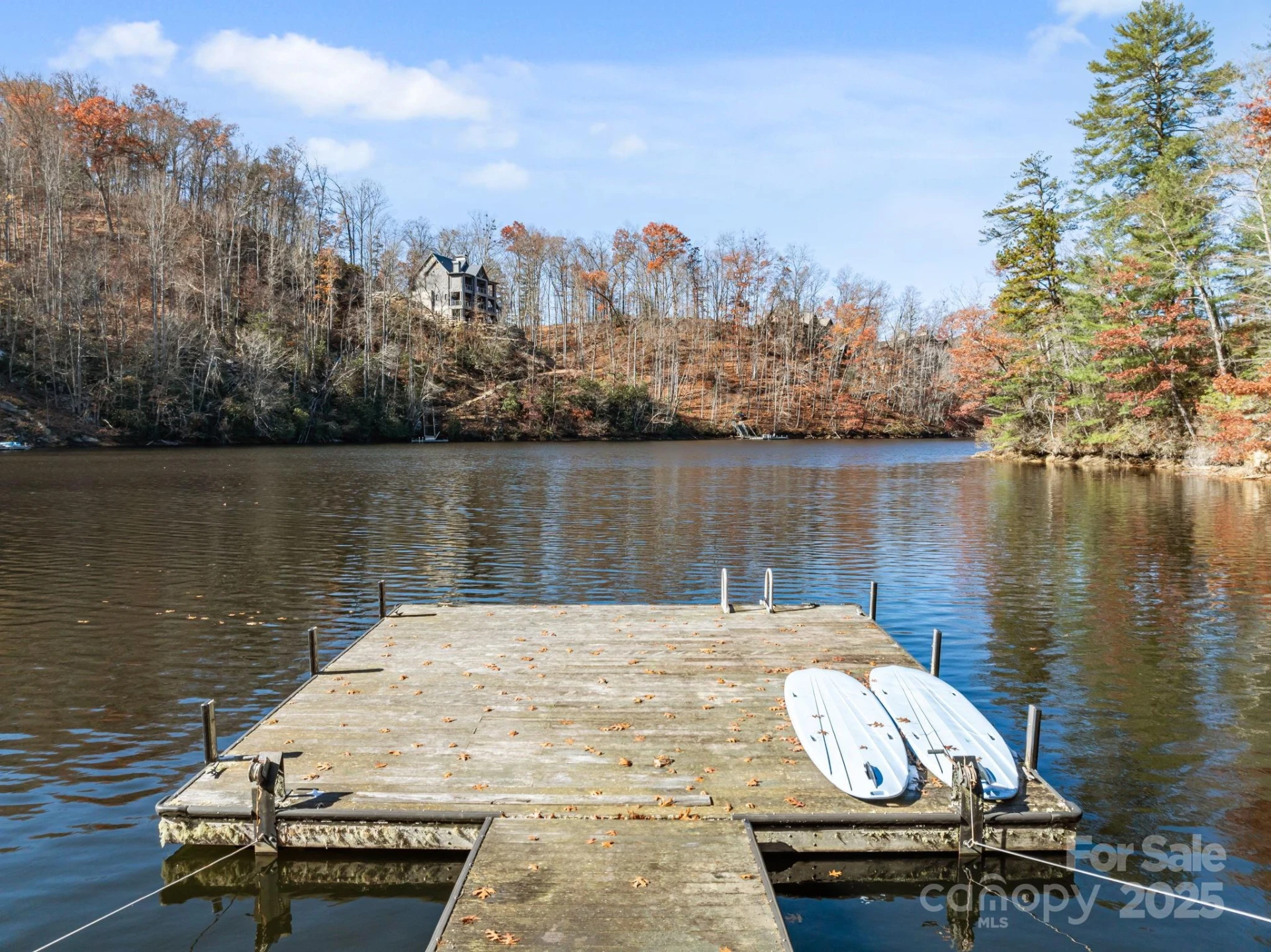 151 Trout Lily Lane - Photo 10