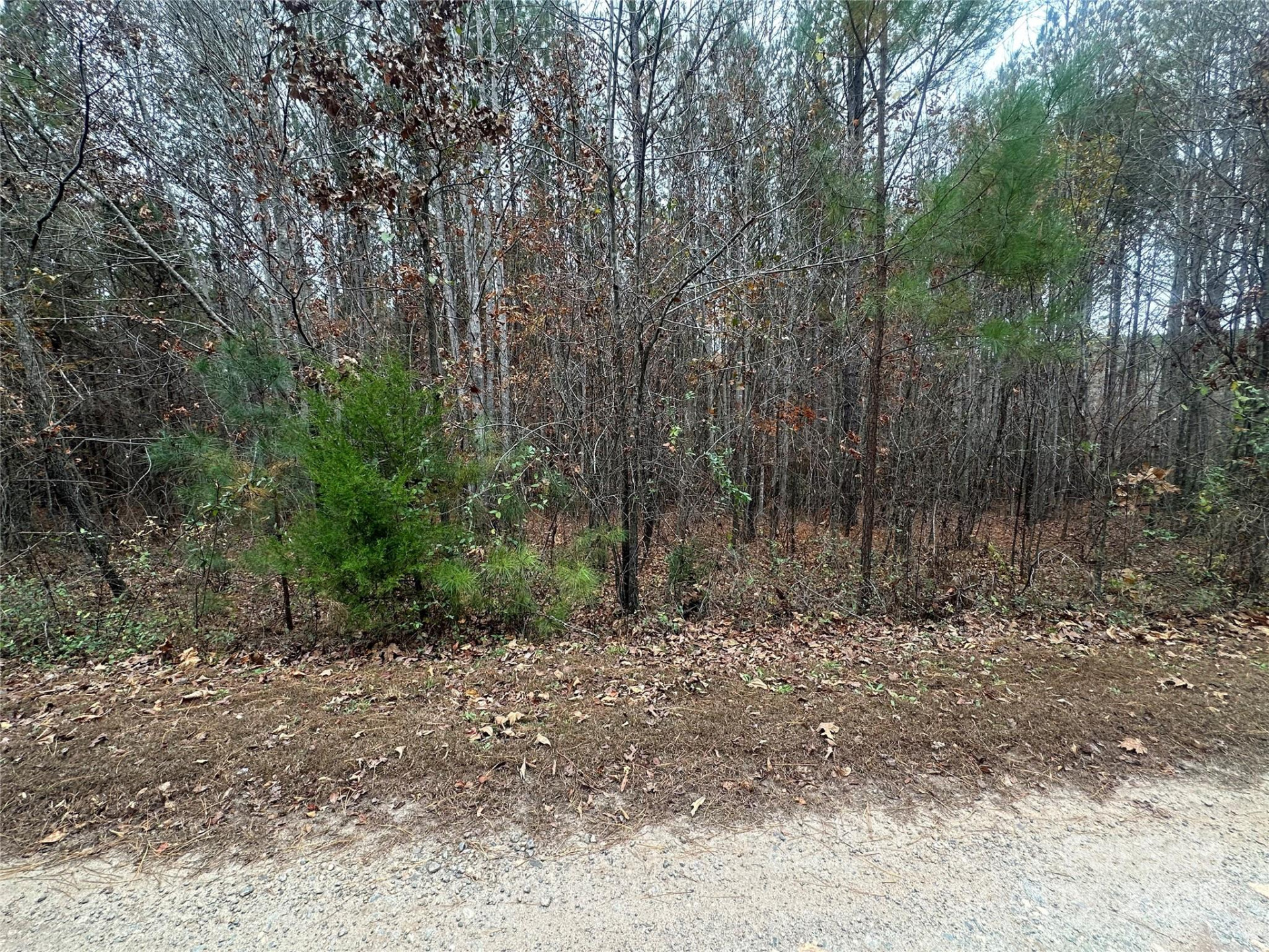 0 Freeman Road - Photo 5