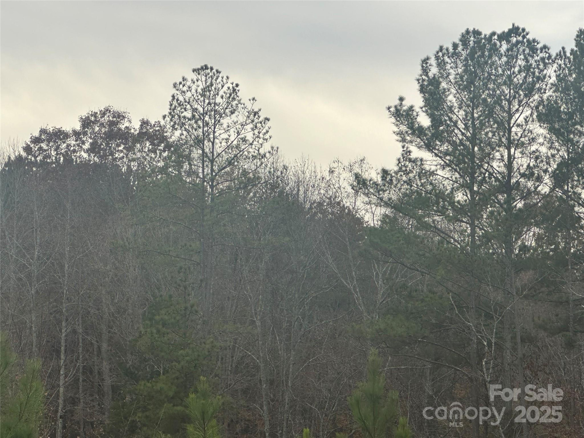 0 Freeman Road - Photo 8