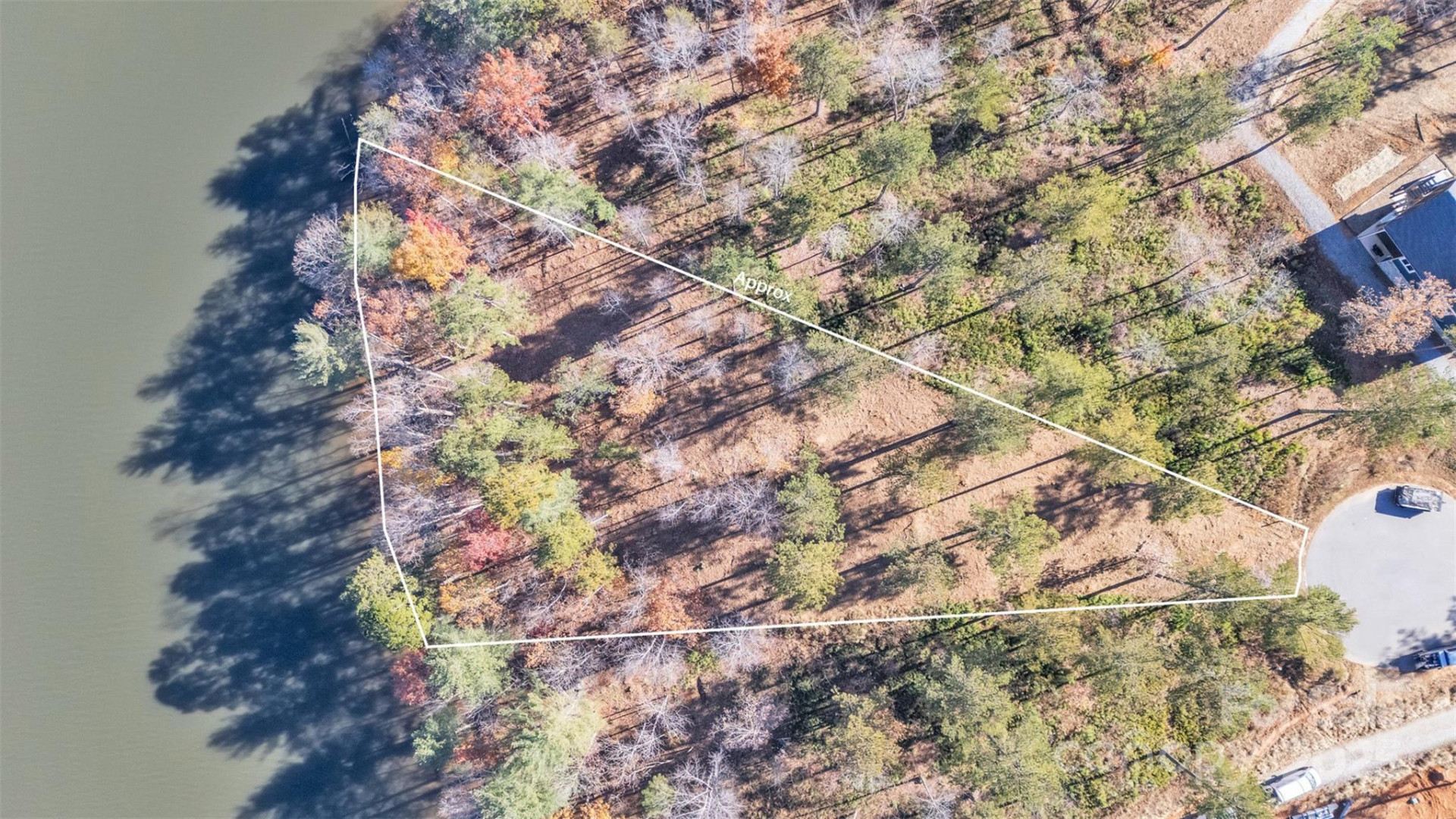 2242 Pikes Peak Ridge #159 - Photo 11