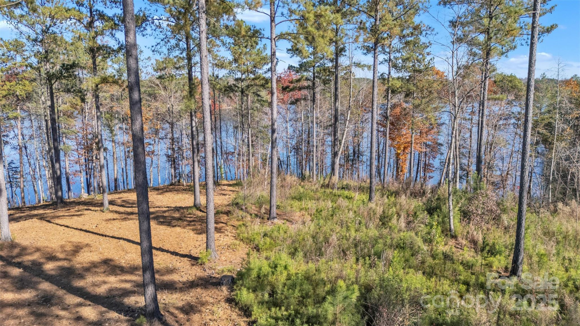 2242 Pikes Peak Ridge #159 - Photo 12