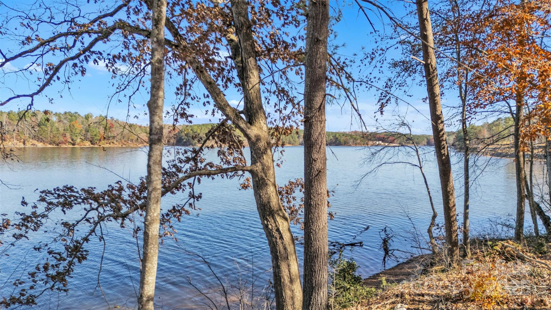 2242 Pikes Peak Ridge #159 - Photo 15