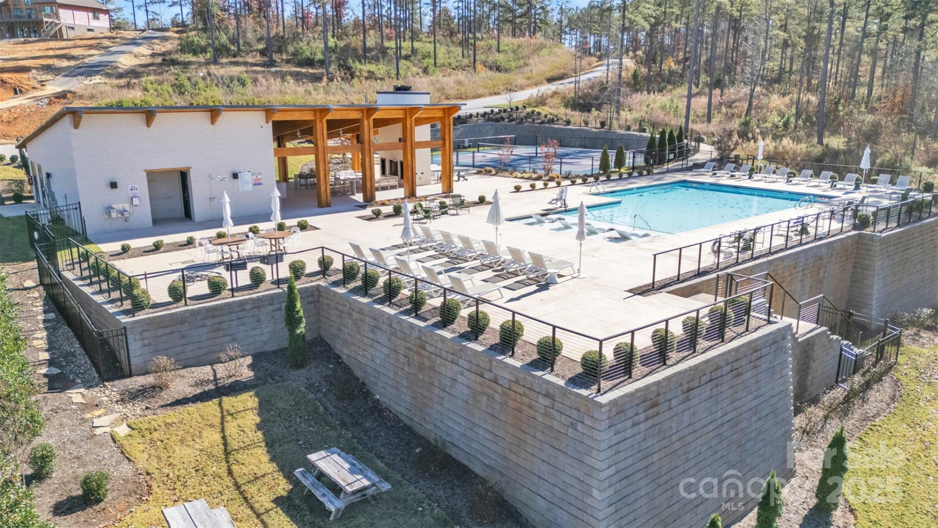 2242 Pikes Peak Ridge #159 - Photo 20