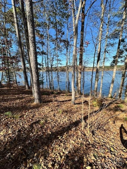 2242 Pikes Peak Ridge #159 - Photo 25