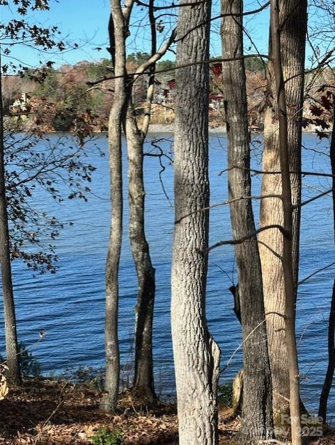 2242 Pikes Peak Ridge #159 - Photo 26