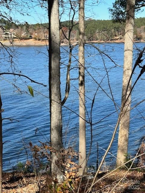 2242 Pikes Peak Ridge #159 - Photo 27