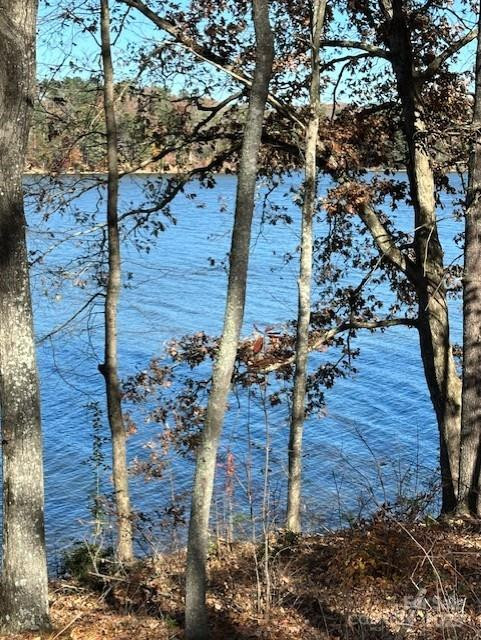 2242 Pikes Peak Ridge #159 - Photo 28