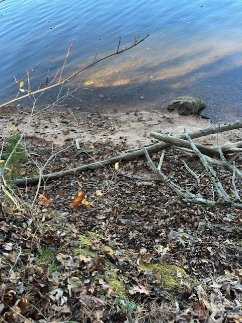 2242 Pikes Peak Ridge #159 - Photo 29