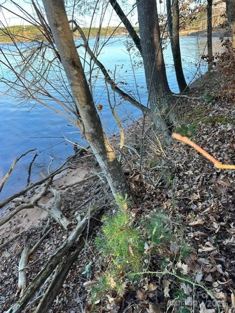 2242 Pikes Peak Ridge #159 - Photo 30