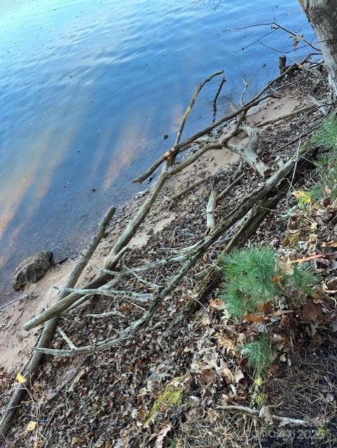 2242 Pikes Peak Ridge #159 - Photo 31