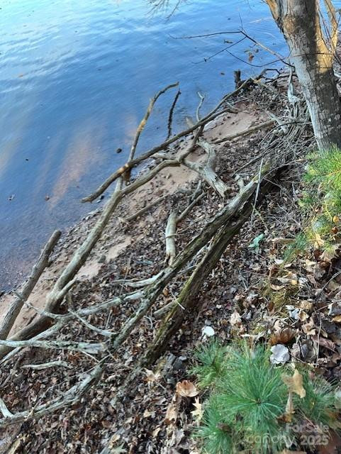 2242 Pikes Peak Ridge #159 - Photo 32