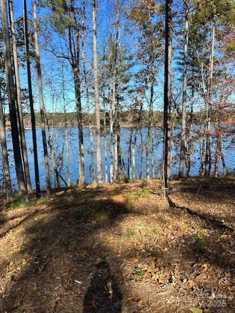 2242 Pikes Peak Ridge #159 - Photo 33